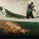 HuntFishTV A FAST CHANNEL from OUTDOOR MEDIA GROUP