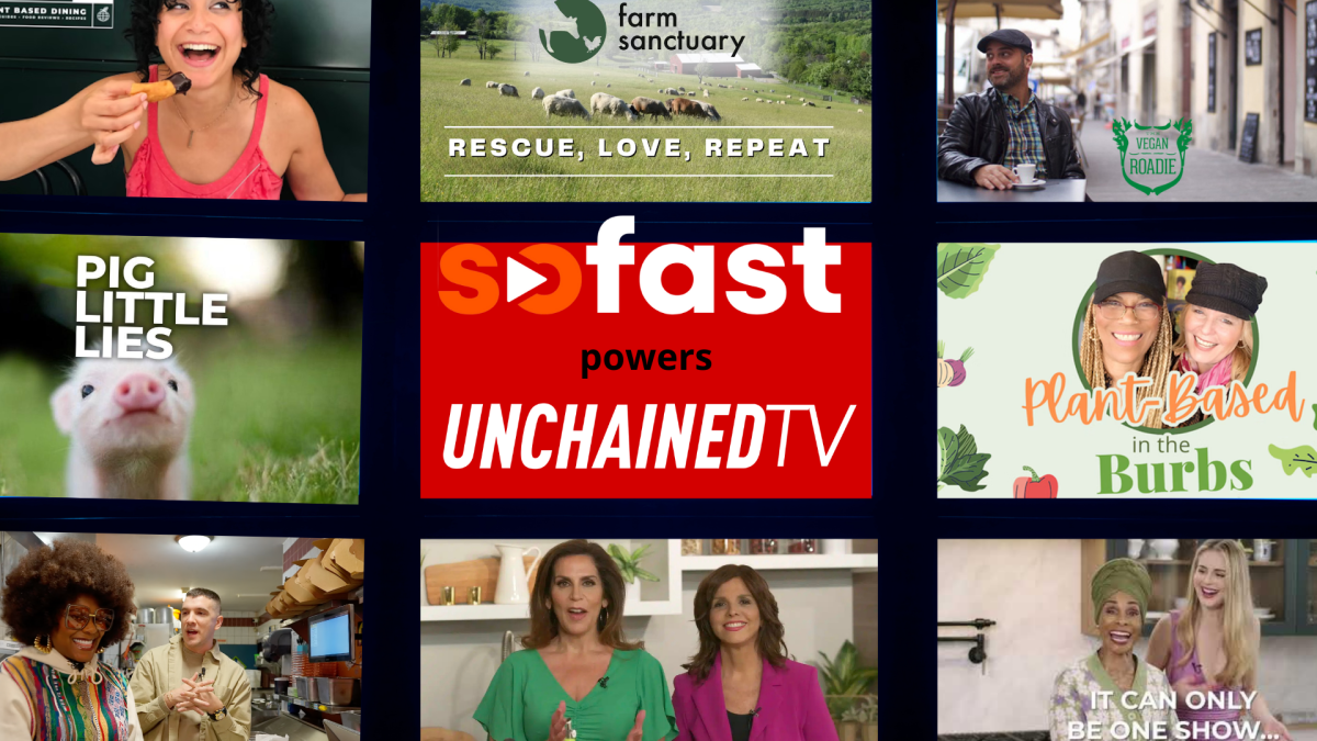 SoFast powers UnchainedTV