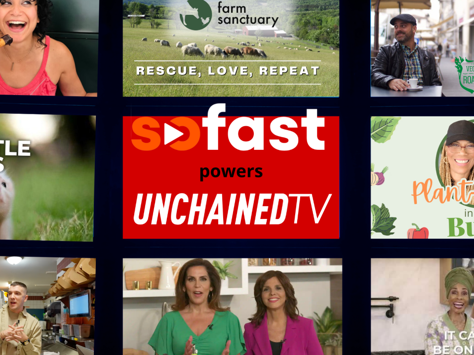 SoFast powers UnchainedTV